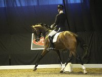 Charmingmood 201113_1220